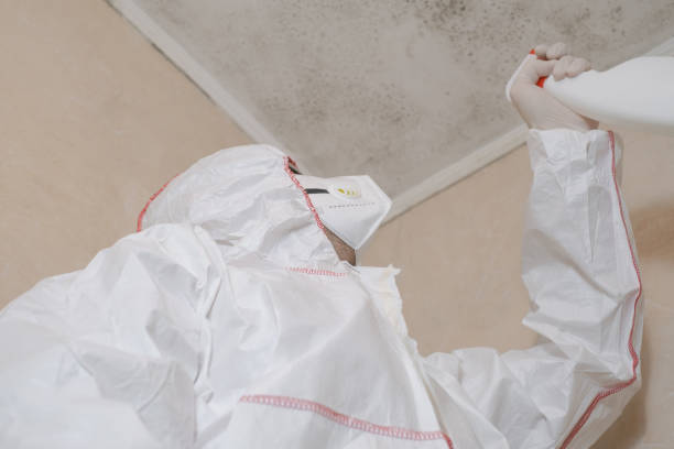 Best Mold Remediation Services  in Halfway, MD